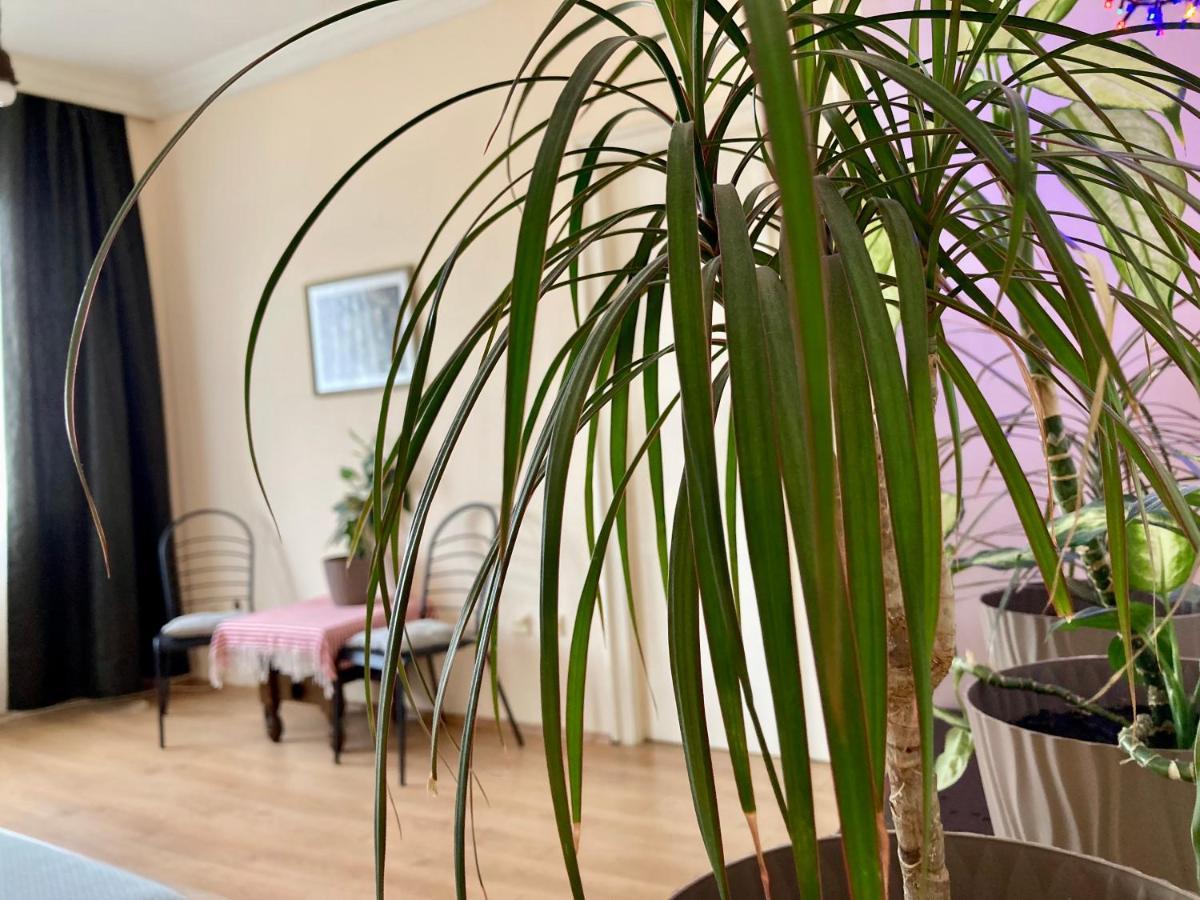 בלגרד Terazije Square Lux Apartment מראה חיצוני תמונה